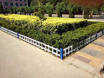 ��ƺ����