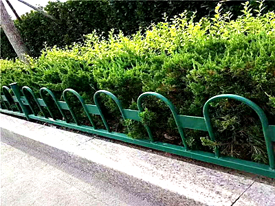 ��ƺ����ͼƬ3